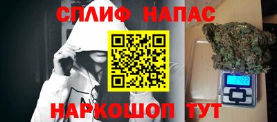 СК Заводоуковск